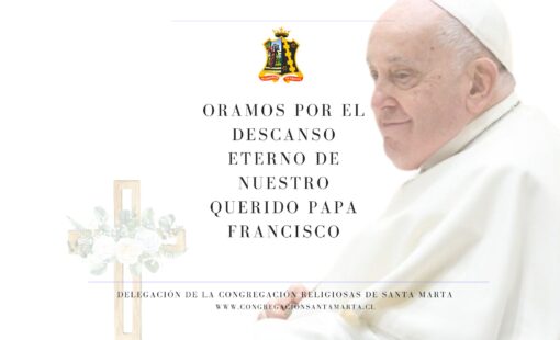 Web Papa FCO 1