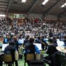 Concierto 13