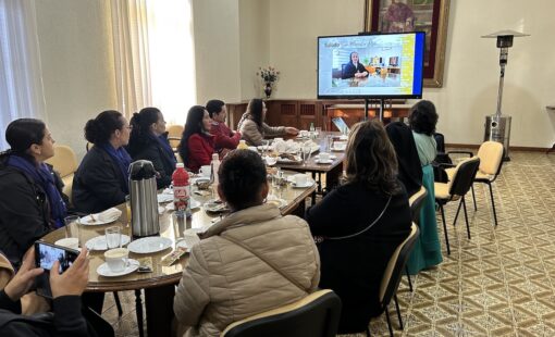 Visita de Brasil 7 Visita de Brasil 7