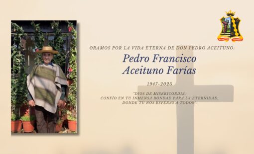 Don Pedro - PJUVEVOC