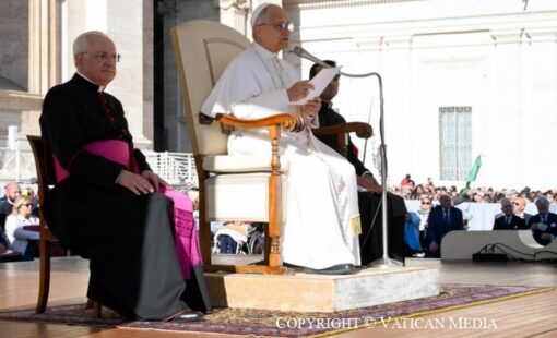 cq5dam.web.800.800 (10)