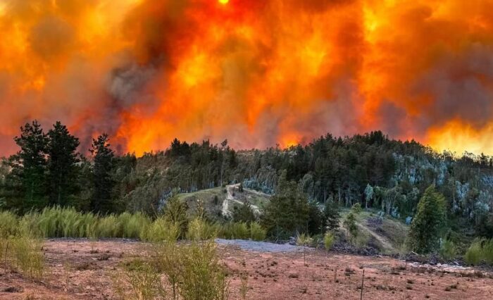 img_gale_696cff923088b_18012026 img_gale_696cff923088b_18012026