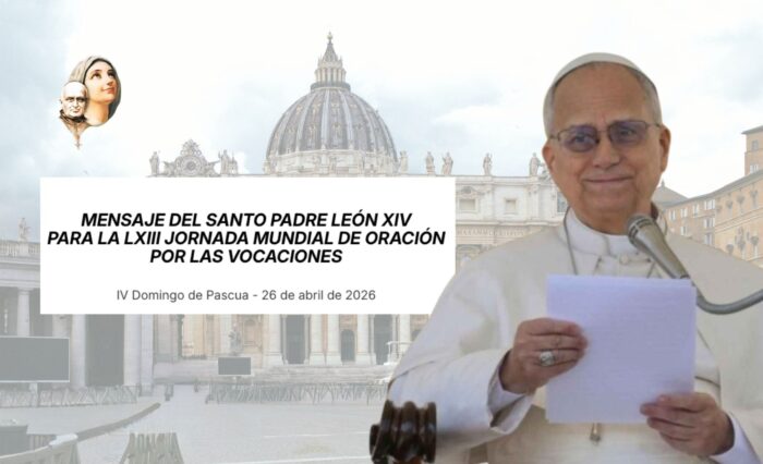 Papa León - PJUVEVOC (Banner para blog)