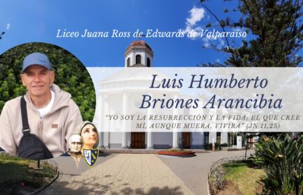Maestro Luis