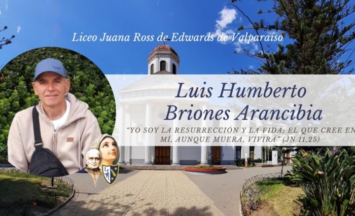 Maestro Luis