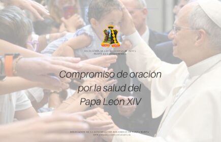 Declaración Salud del Papa